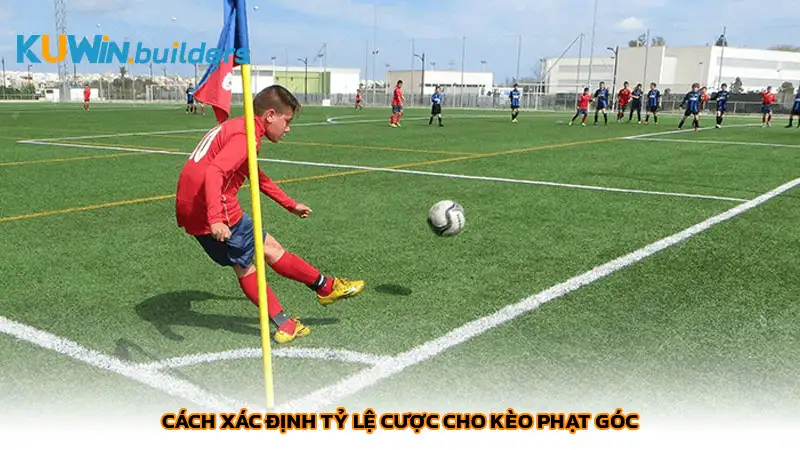 Kèo phạt góc là gì? Bí quyết cá cược hiệu quả tại Kuwin Cách xác định tỷ lệ cược cho kèo phạt góc